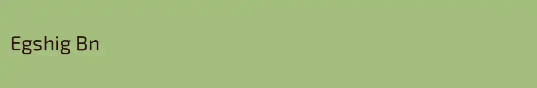 Egshig Bn